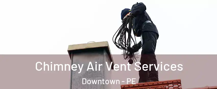  Chimney Air Vent Services Downtown - PE