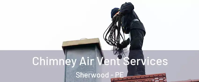  Chimney Air Vent Services Sherwood - PE