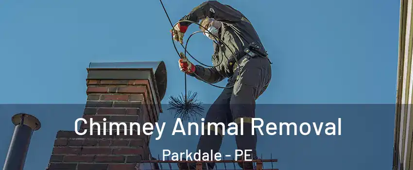 Chimney Animal Removal Parkdale - PE