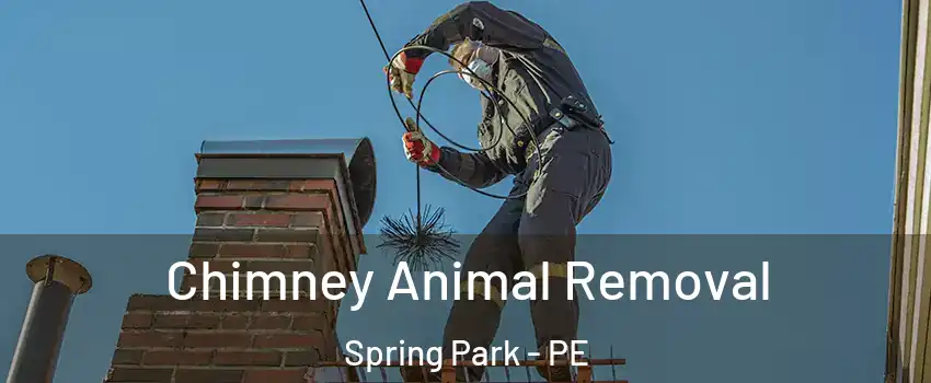 Chimney Animal Removal Spring Park - PE