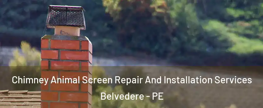  Chimney Animal Screen Repair And Installation Services Belvedere - PE