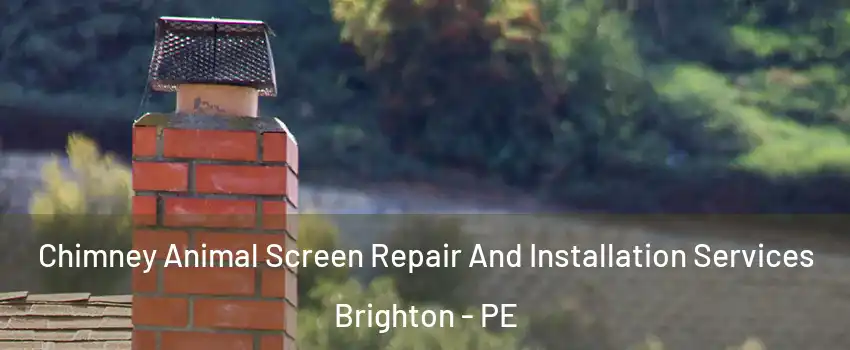  Chimney Animal Screen Repair And Installation Services Brighton - PE