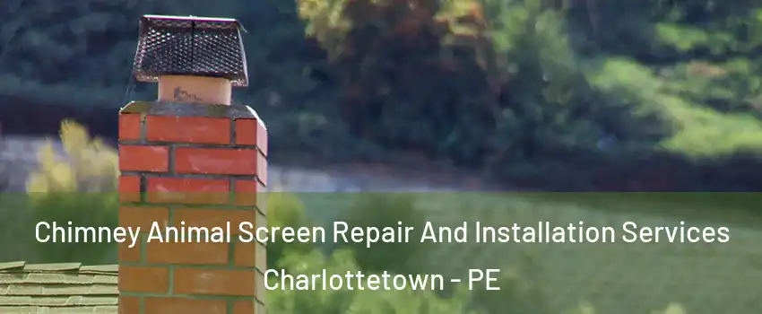  Chimney Animal Screen Repair And Installation Services Charlottetown - PE