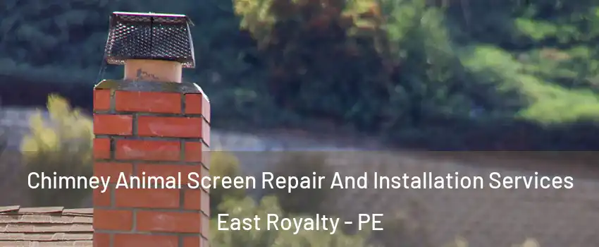  Chimney Animal Screen Repair And Installation Services East Royalty - PE