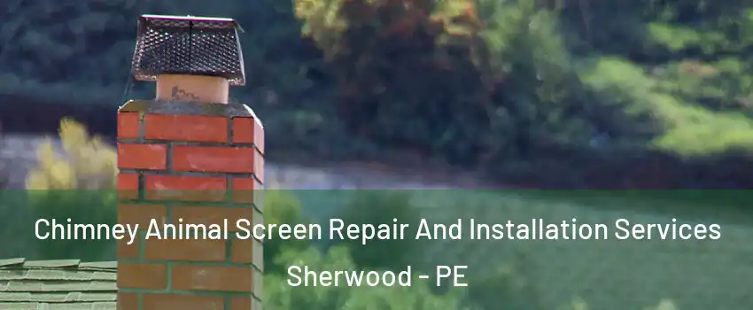  Chimney Animal Screen Repair And Installation Services Sherwood - PE