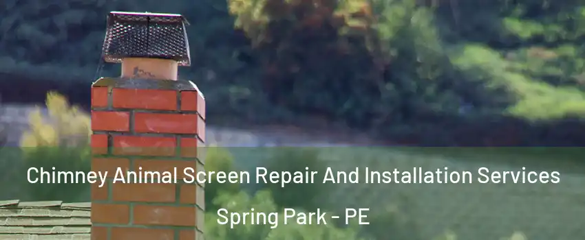  Chimney Animal Screen Repair And Installation Services Spring Park - PE