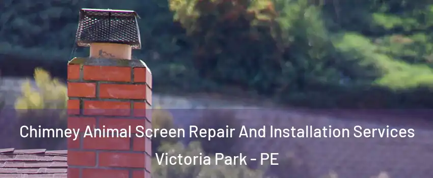  Chimney Animal Screen Repair And Installation Services Victoria Park - PE
