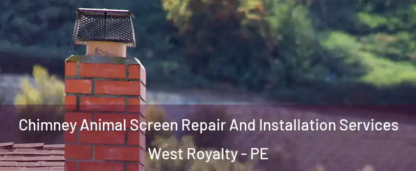  Chimney Animal Screen Repair And Installation Services West Royalty - PE