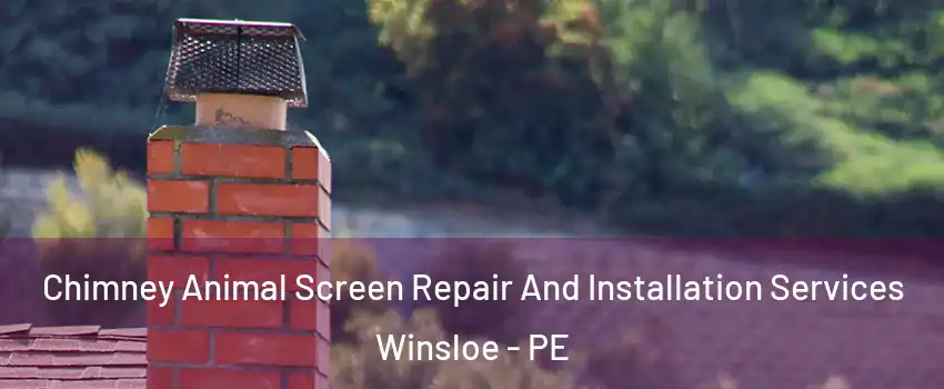  Chimney Animal Screen Repair And Installation Services Winsloe - PE
