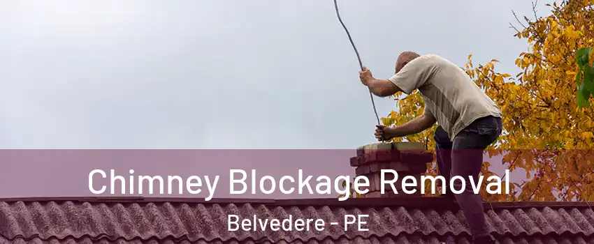  Chimney Blockage Removal Belvedere - PE
