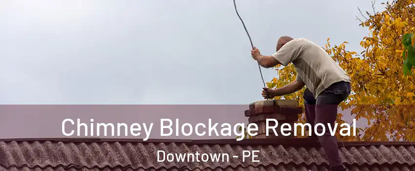  Chimney Blockage Removal Downtown - PE