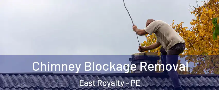 Chimney Blockage Removal East Royalty - PE