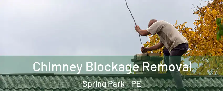  Chimney Blockage Removal Spring Park - PE