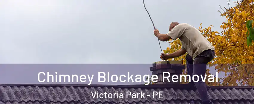  Chimney Blockage Removal Victoria Park - PE