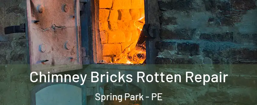  Chimney Bricks Rotten Repair Spring Park - PE
