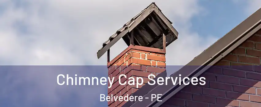  Chimney Cap Services Belvedere - PE