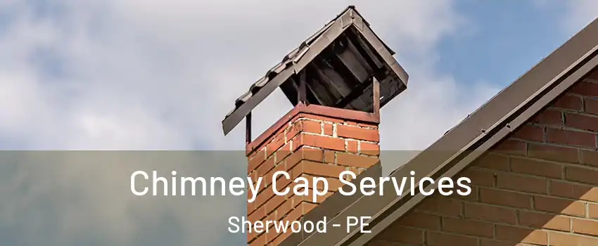  Chimney Cap Services Sherwood - PE