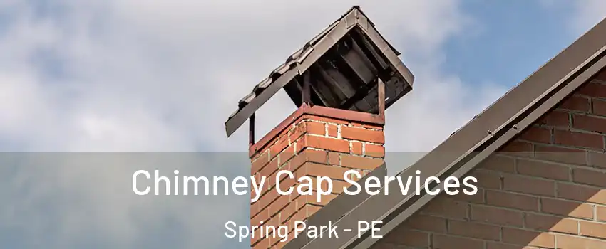  Chimney Cap Services Spring Park - PE