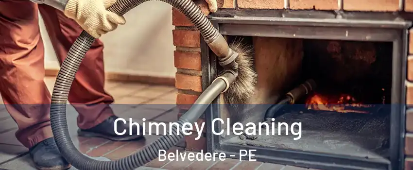  Chimney Cleaning Belvedere - PE