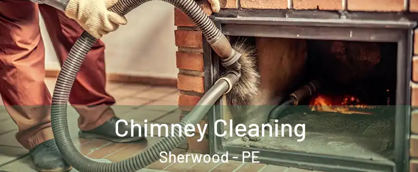  Chimney Cleaning Sherwood - PE