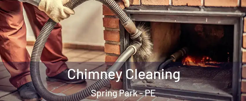  Chimney Cleaning Spring Park - PE