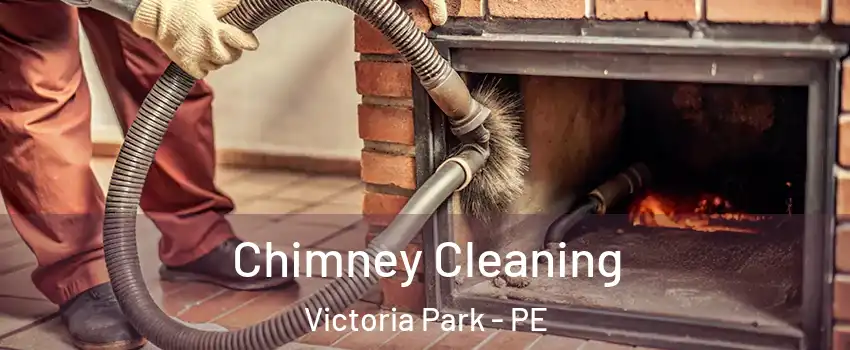  Chimney Cleaning Victoria Park - PE