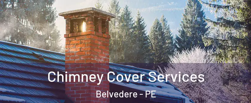  Chimney Cover Services Belvedere - PE