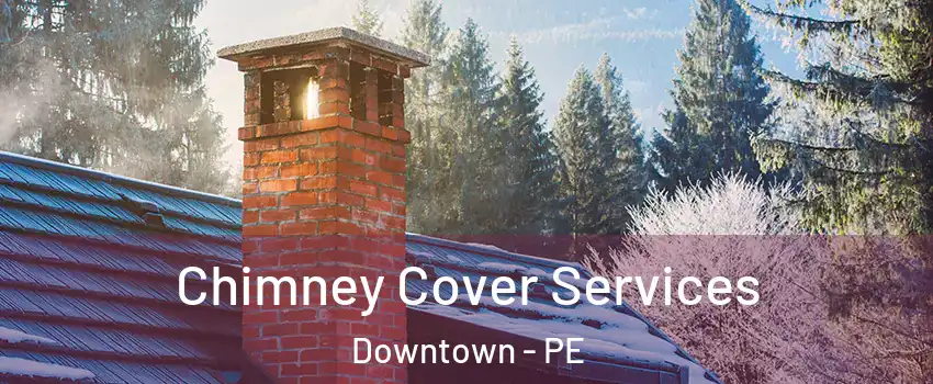  Chimney Cover Services Downtown - PE