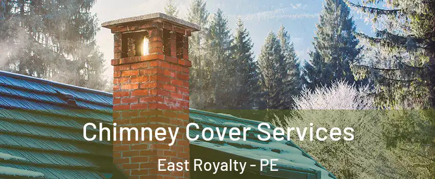  Chimney Cover Services East Royalty - PE