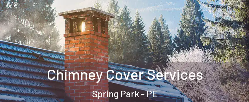  Chimney Cover Services Spring Park - PE
