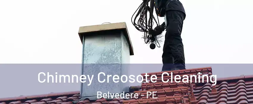  Chimney Creosote Cleaning Belvedere - PE