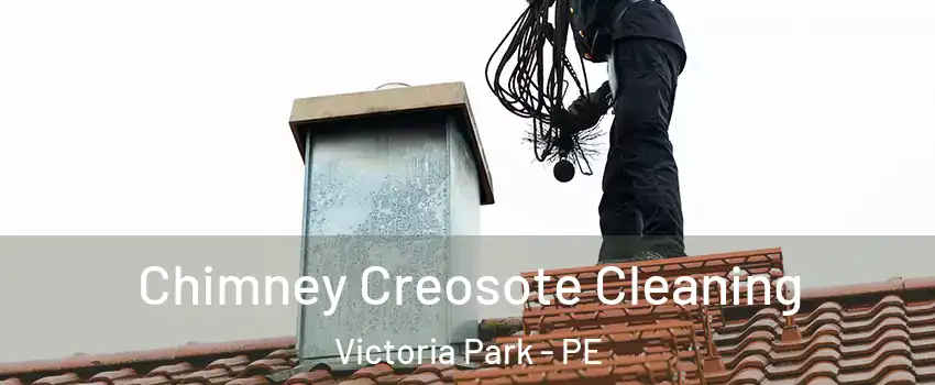  Chimney Creosote Cleaning Victoria Park - PE