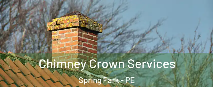  Chimney Crown Services Spring Park - PE