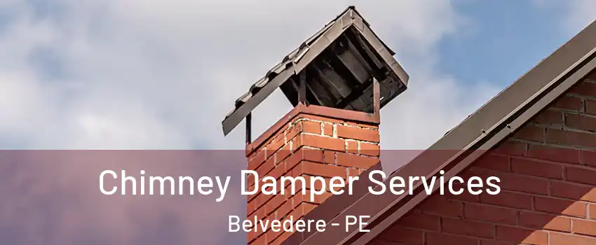  Chimney Damper Services Belvedere - PE
