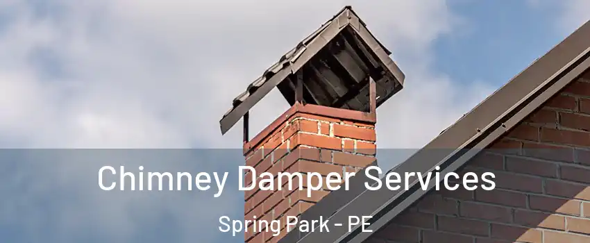  Chimney Damper Services Spring Park - PE