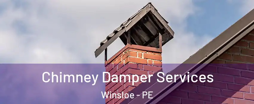  Chimney Damper Services Winsloe - PE