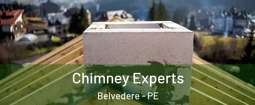 Chimney Experts Belvedere - PE