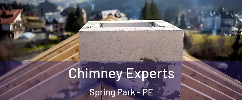 Chimney Experts Spring Park - PE