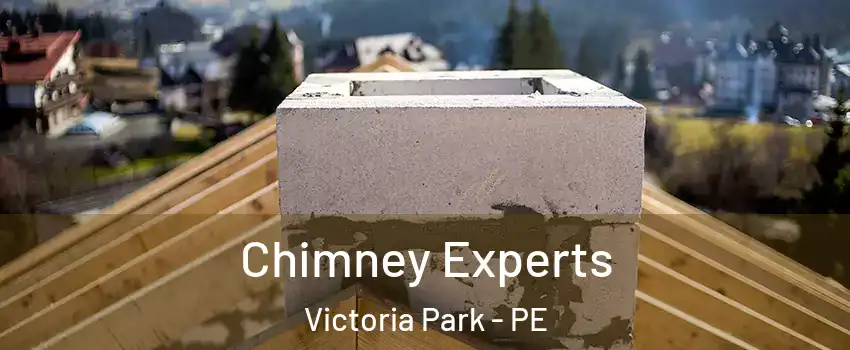 Chimney Experts Victoria Park - PE