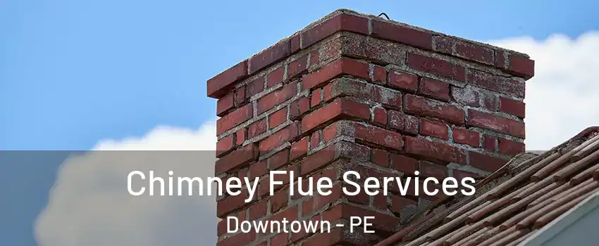  Chimney Flue Services Downtown - PE