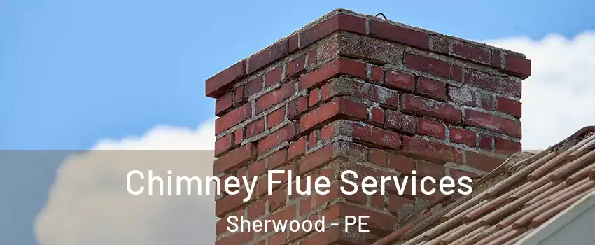  Chimney Flue Services Sherwood - PE