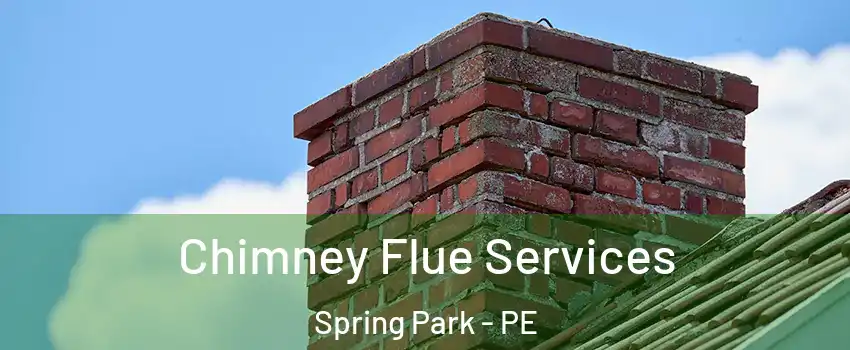  Chimney Flue Services Spring Park - PE