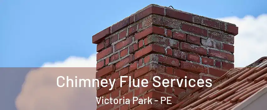  Chimney Flue Services Victoria Park - PE