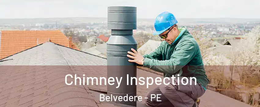  Chimney Inspection Belvedere - PE