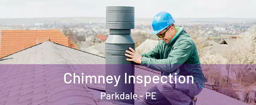  Chimney Inspection Parkdale - PE