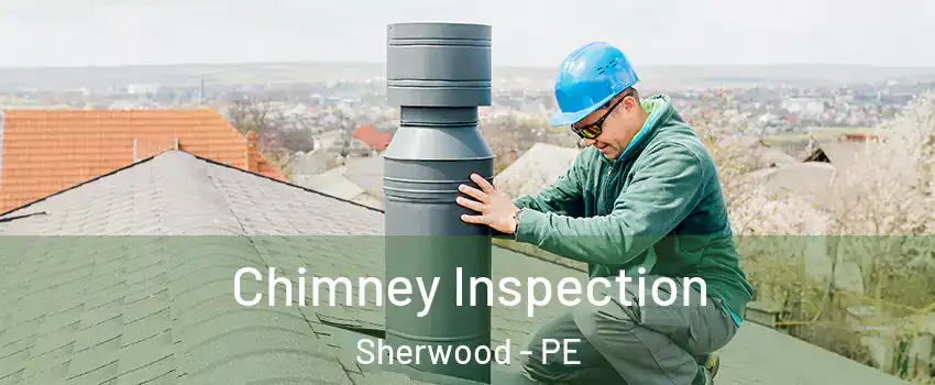  Chimney Inspection Sherwood - PE