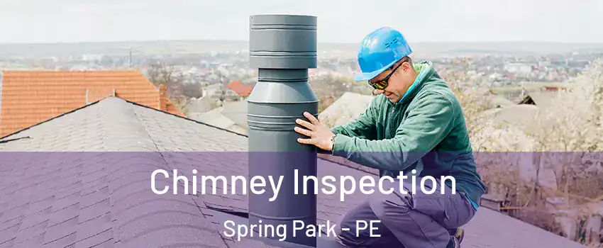  Chimney Inspection Spring Park - PE