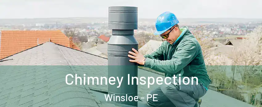  Chimney Inspection Winsloe - PE