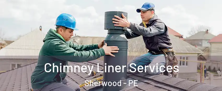  Chimney Liner Services Sherwood - PE