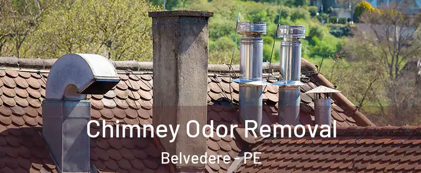  Chimney Odor Removal Belvedere - PE